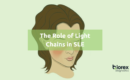 The Role of Light Chains in SLE Blog Banner