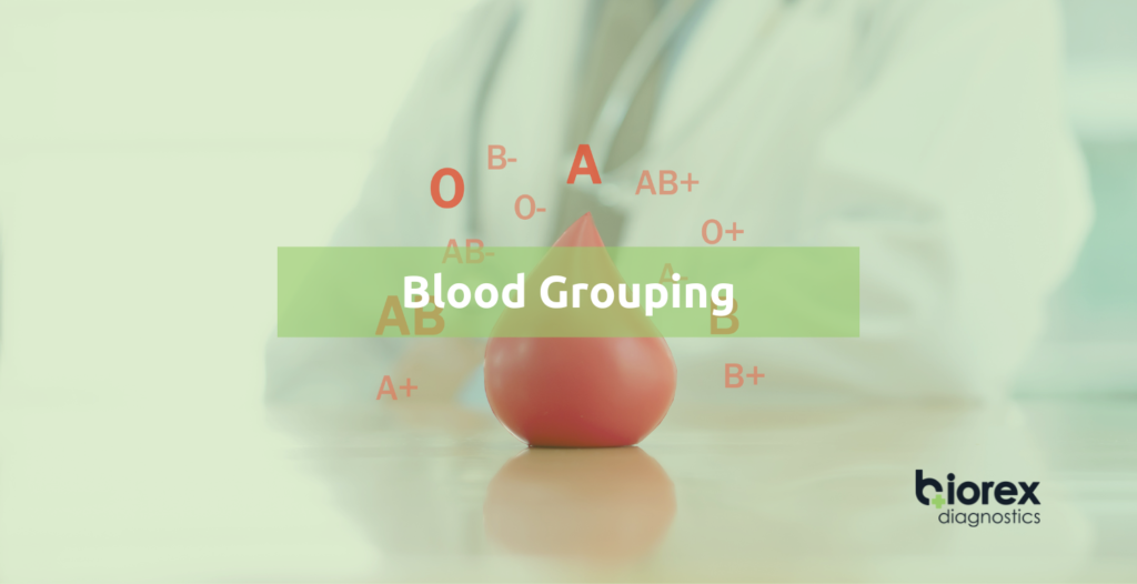 Blood Grouping - Biorex Diagnostics - Primary Diagnostics Innovation