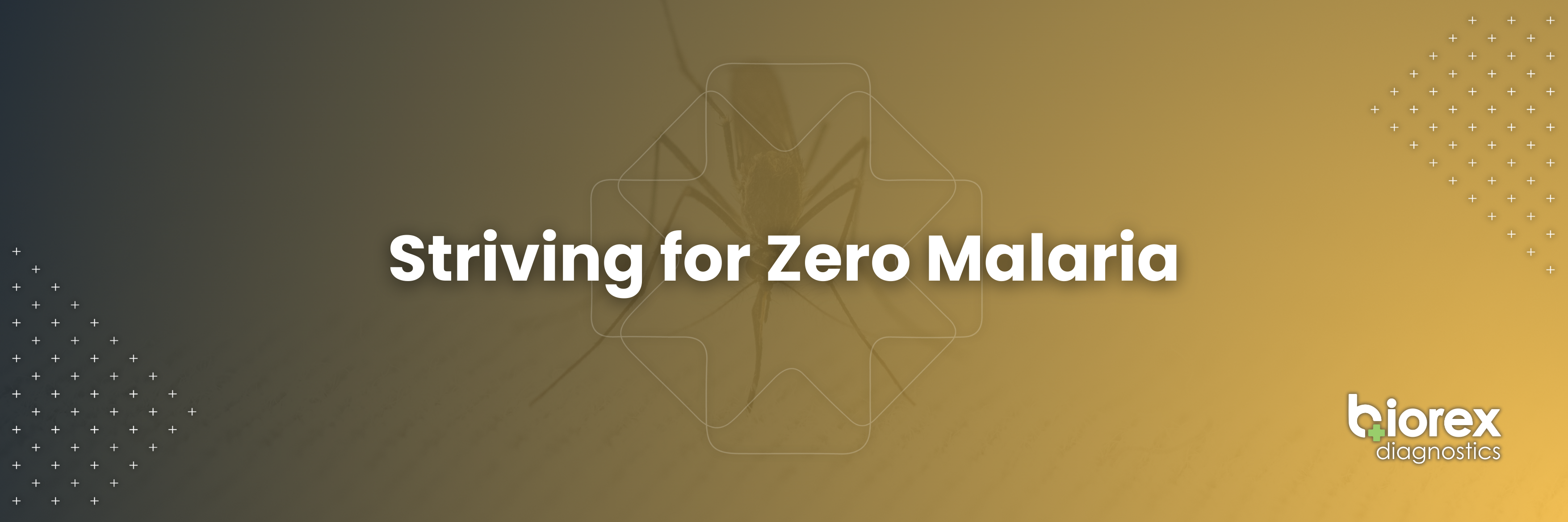 Striving for Zero Malaria - Blog Banner - Yellow